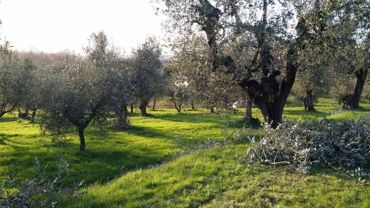 הוילה פיסטויה Casa "Il Brio" מראה חיצוני תמונה